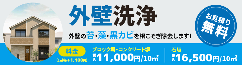 外壁洗浄　お見積り無料　外壁の苔・藻・黒カビを根こそぎ除去します！