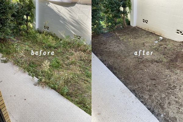 マンション1Fの専用庭の草抜きしました。